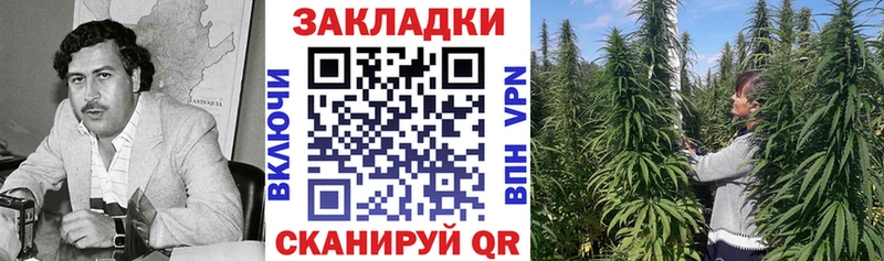 Купить закладку БУТИРАТ  Канабис  МЕФ  Гашиш  APVP  Магас