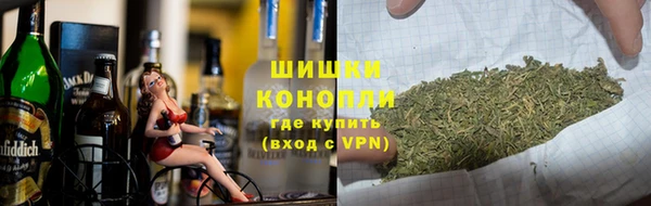 стаф Дмитров