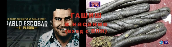 стаф Дмитров