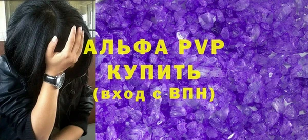 стаф Дмитров