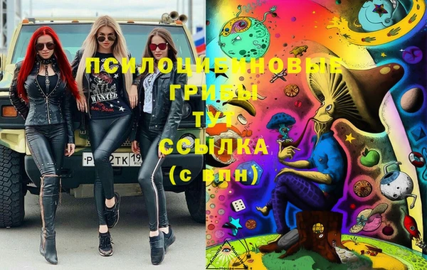 стаф Дмитров