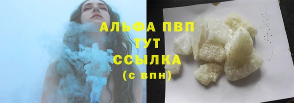 стаф Дмитров