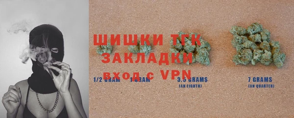 стаф Дмитров