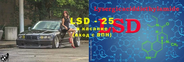 стаф Дмитров