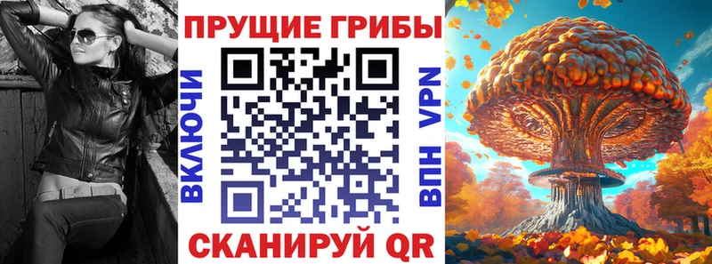 Купить где Магас Псилоцибиновые грибы мицелий
